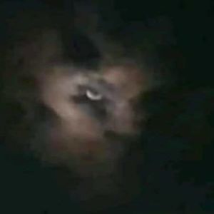 Meet your Posher, Jo nathan